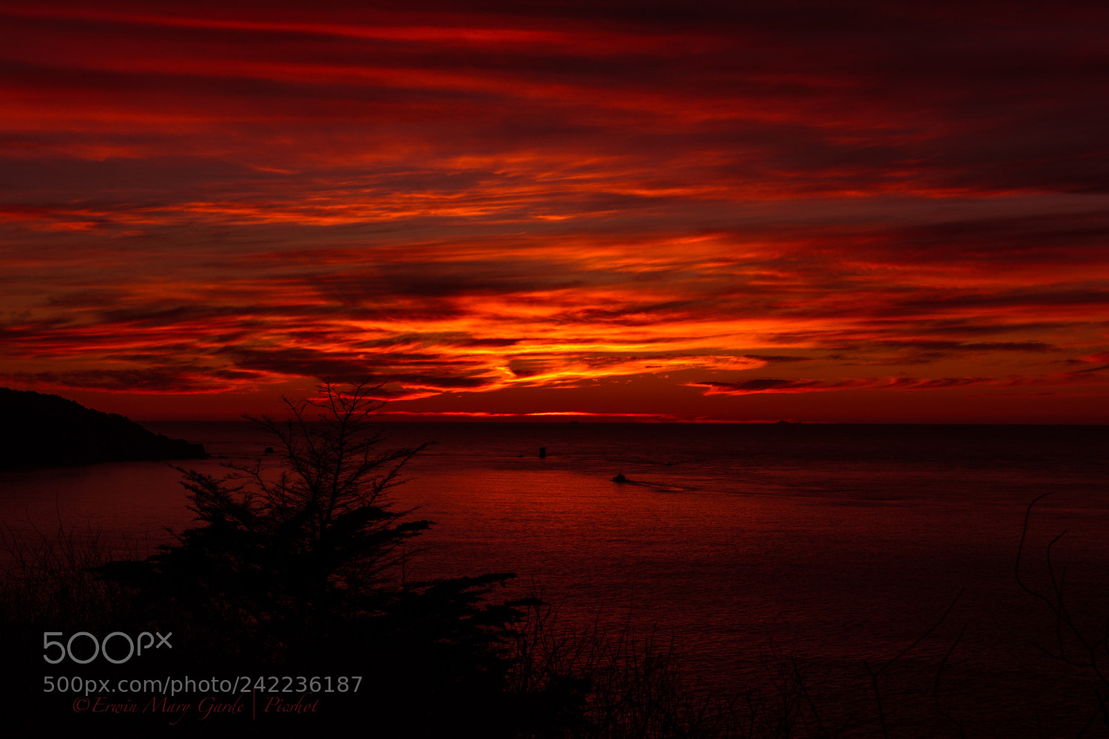 Nikon D7100 sample photo. Red photography