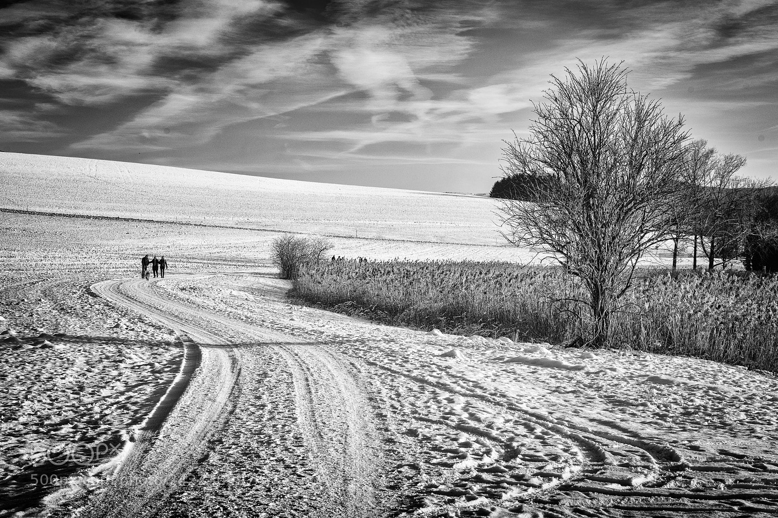 Sony a7 sample photo. Traces in the snow photography