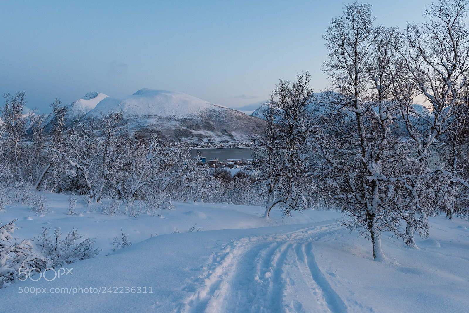 Nikon D810 sample photo. Winter mood ii photography