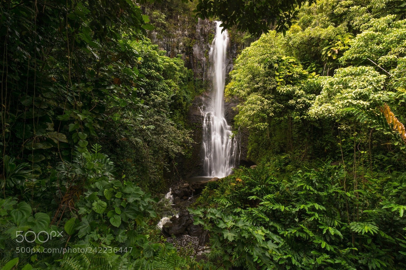 Sony Alpha NEX-7 sample photo. Hawaiian waterfall photography