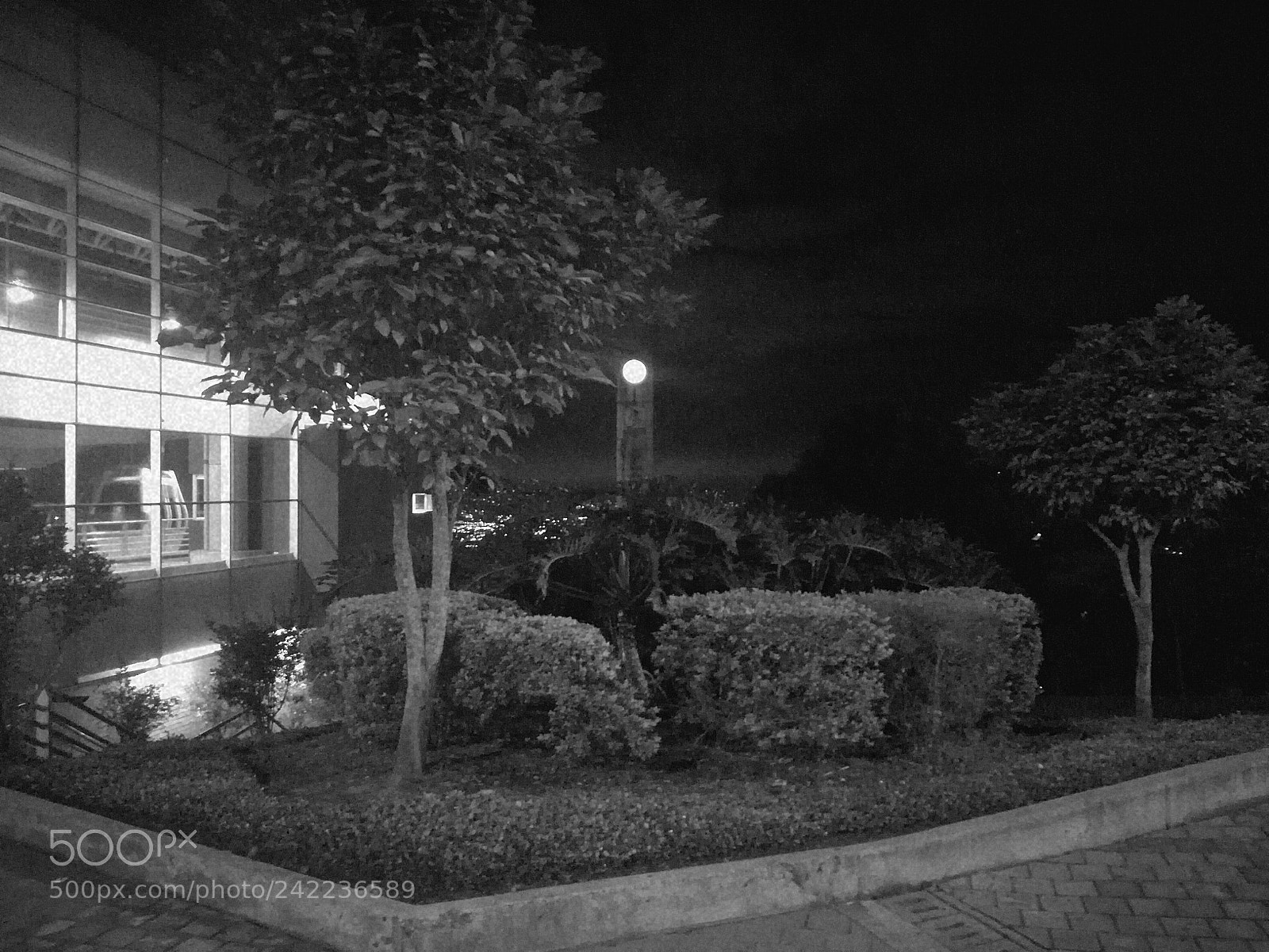 HUAWEI P9 LITE sample photo. Untitled photography