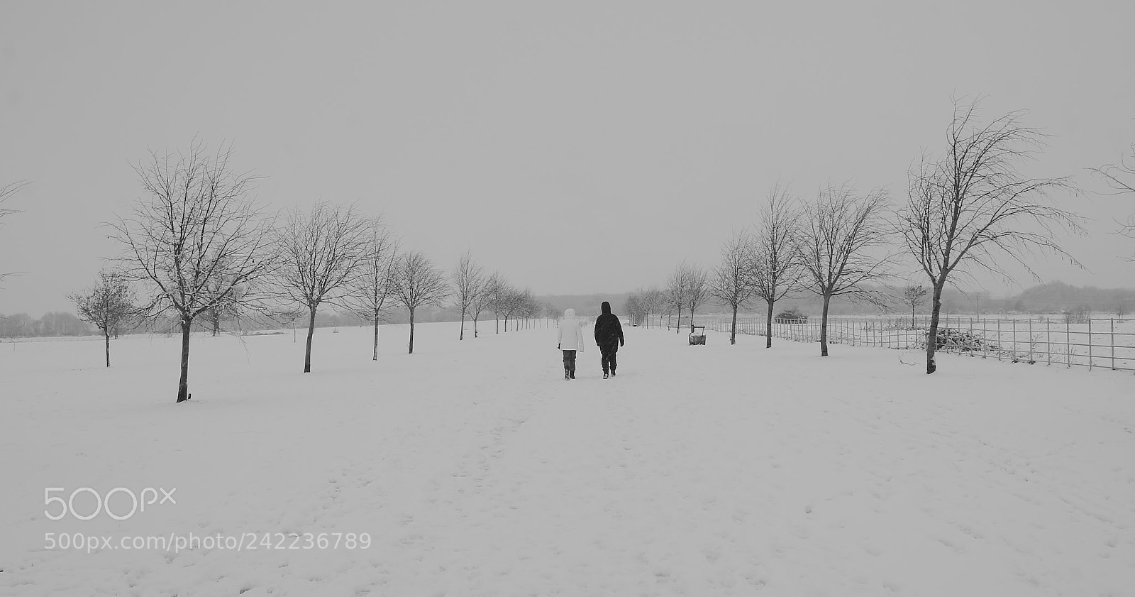 Sony Alpha DSLR-A380 sample photo. Waik with you ... photography