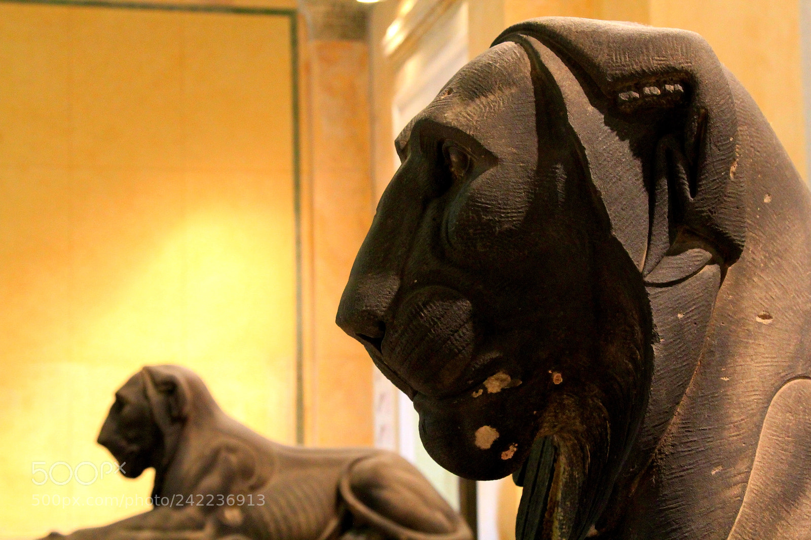 Canon EOS 60D + Canon EF 24-105mm F4L IS USM sample photo. Egyptian ancient lions in photography