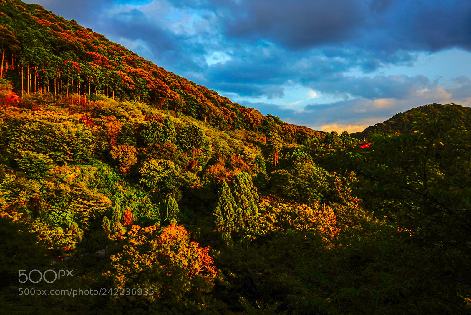 Sony a7 sample photo. Kyoto photography