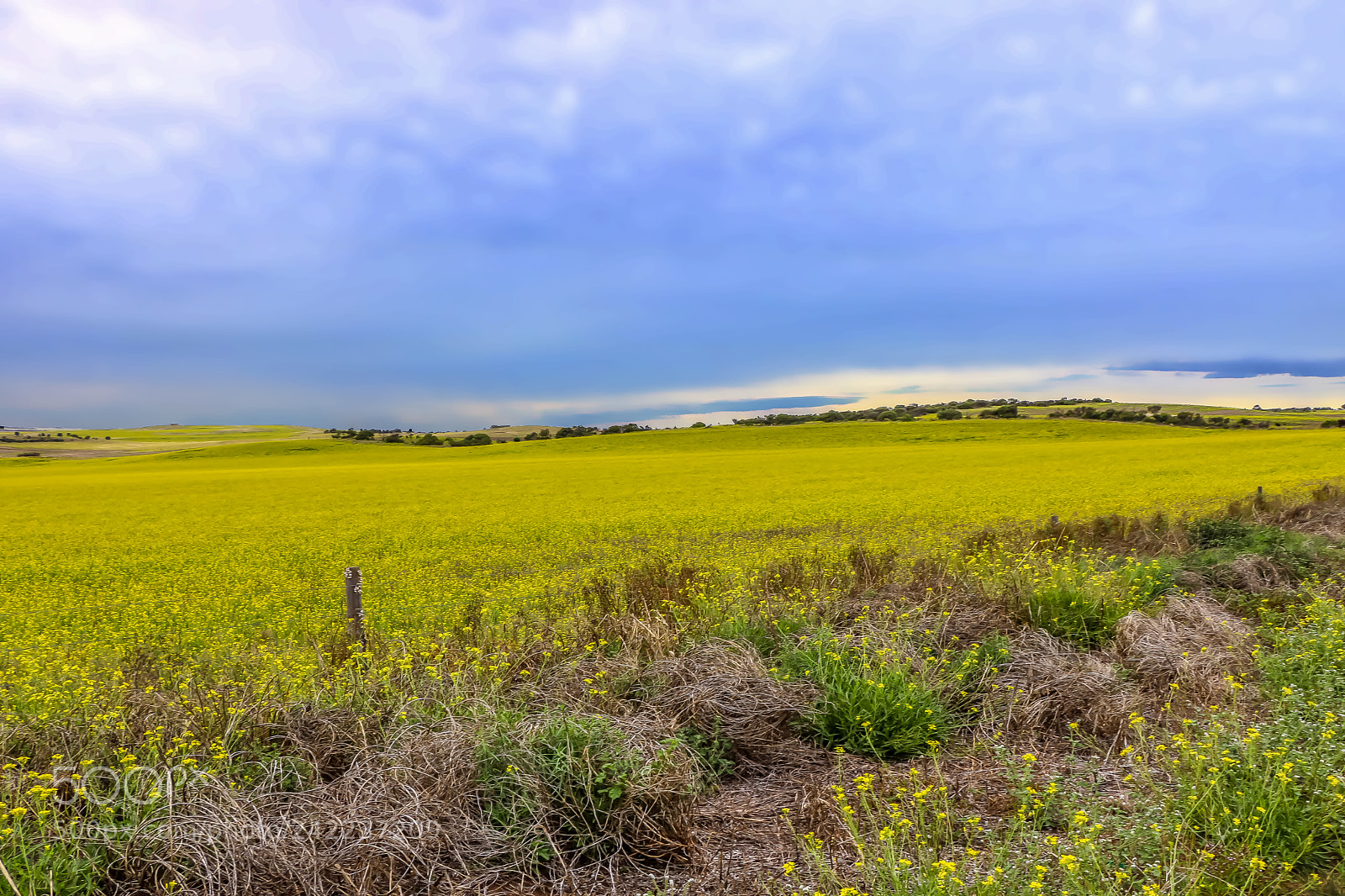 Canon EOS 760D (EOS Rebel T6s / EOS 8000D) sample photo. Green field photography