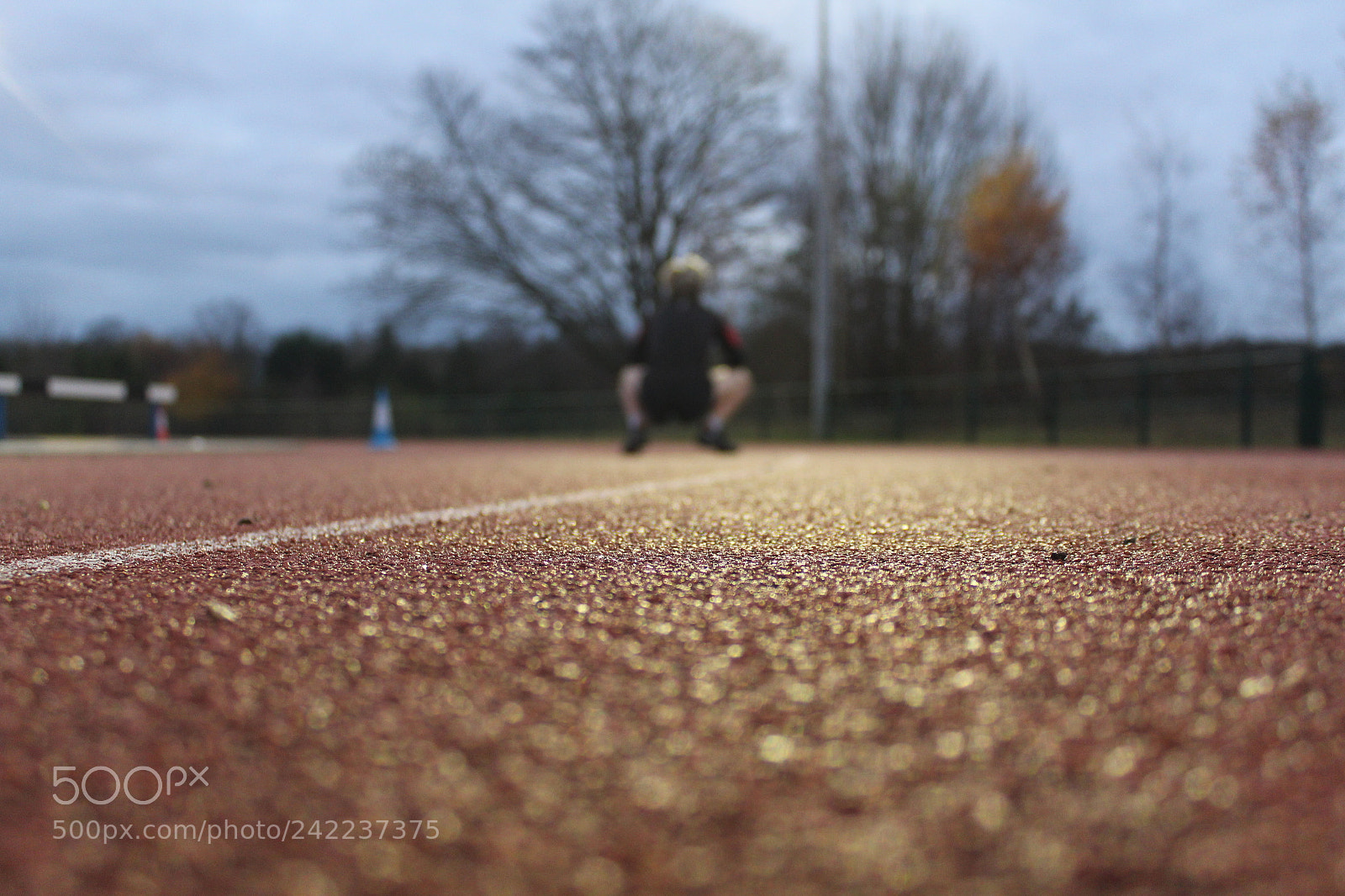 Canon EF-S 18-55mm F3.5-5.6 III sample photo. Img photography