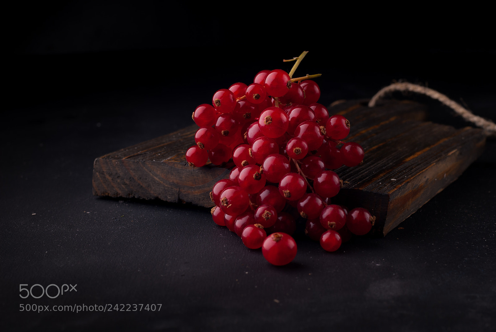 Nikon D200 sample photo. Red currant photography