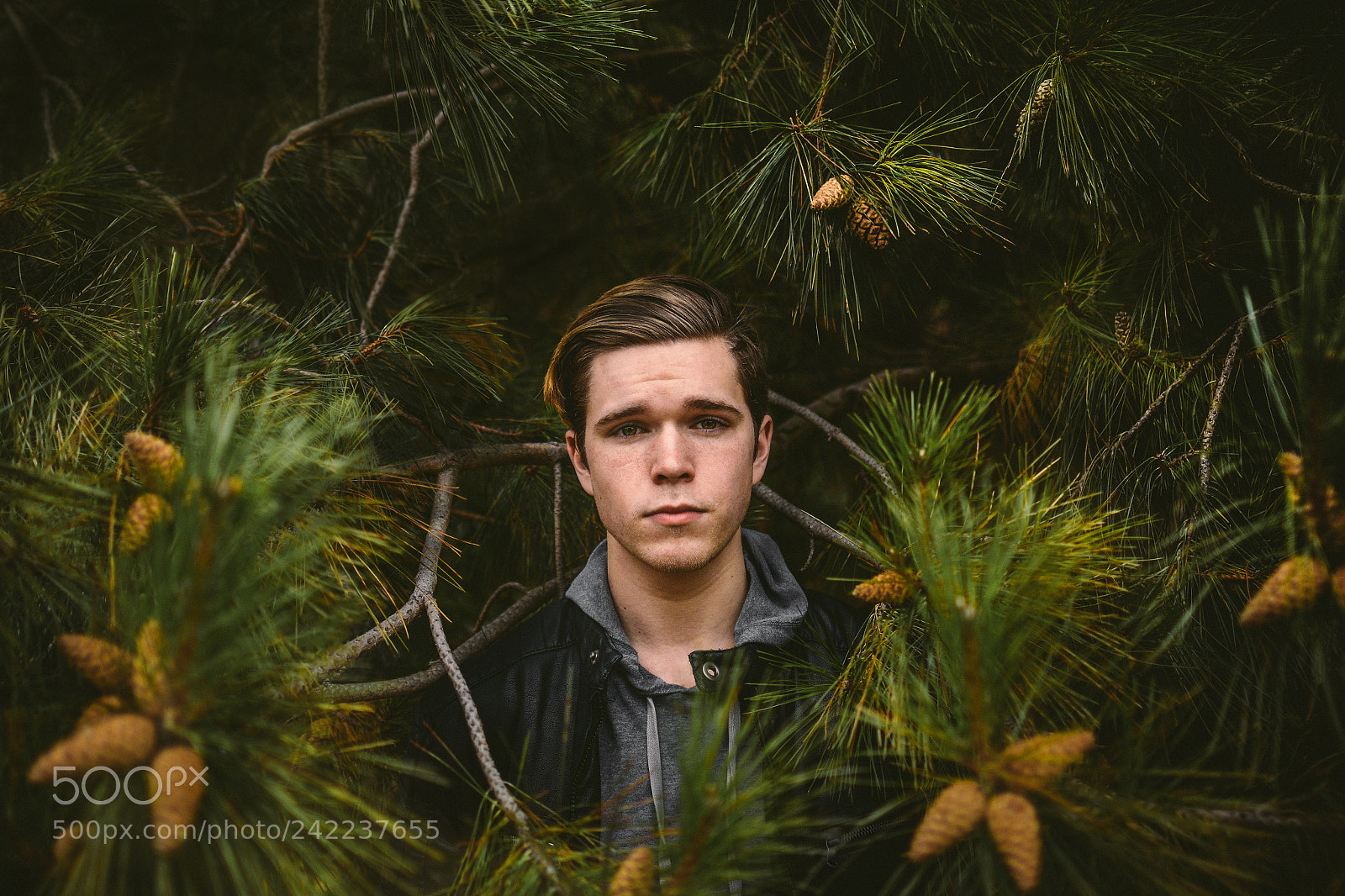 Nikon D7200 sample photo. In the woods photography
