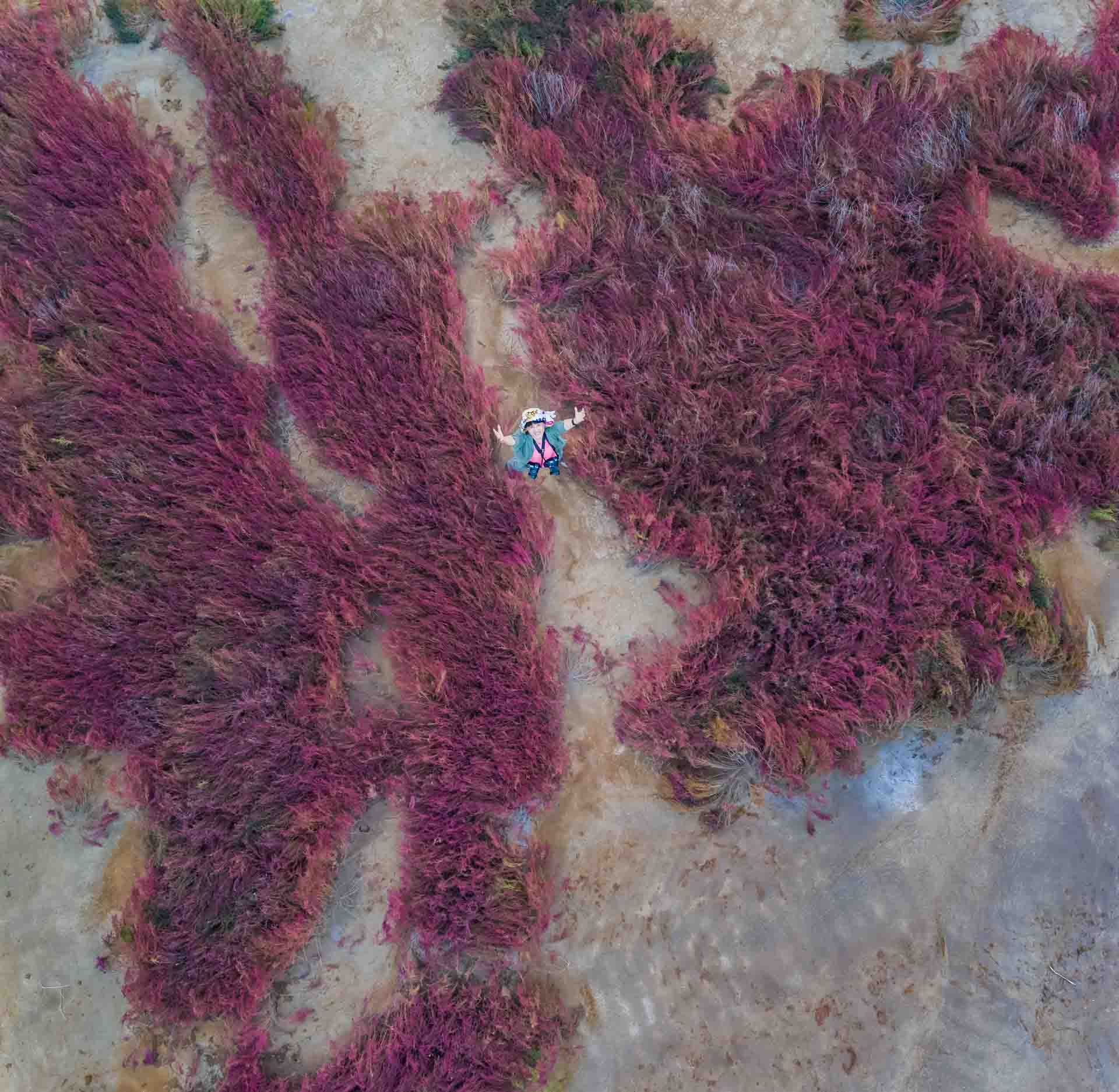 DJI FC550 sample photo