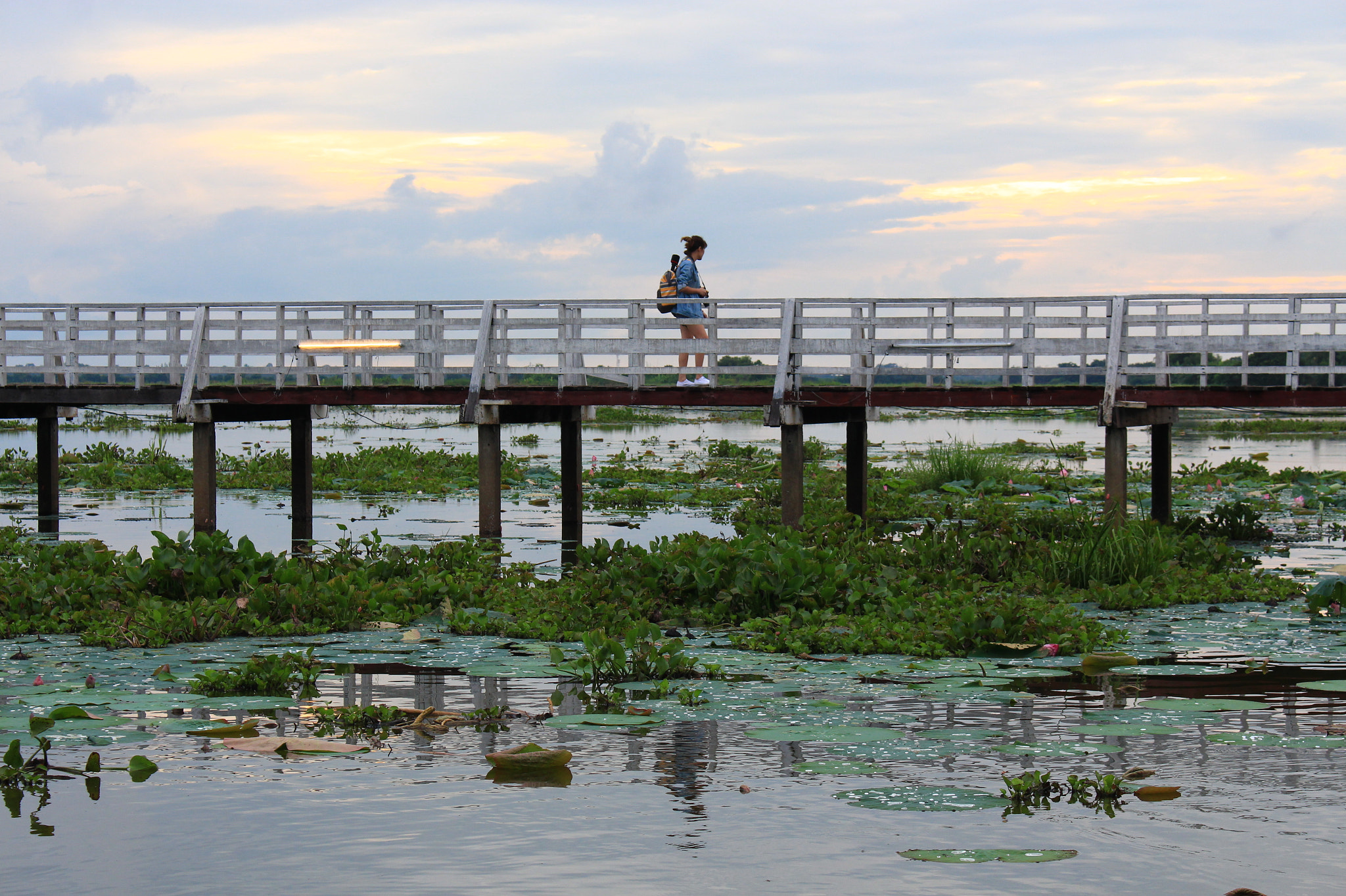 Canon EOS 700D (EOS Rebel T5i / EOS Kiss X7i) + Canon EF-S 18-55mm F3.5-5.6 IS STM sample photo. Wooden bridge photography