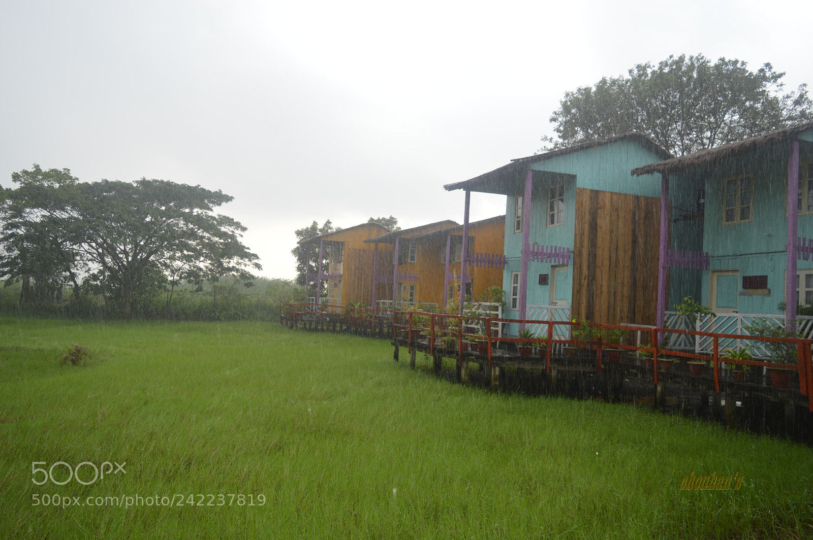 Nikon D3200 sample photo. The rain photography