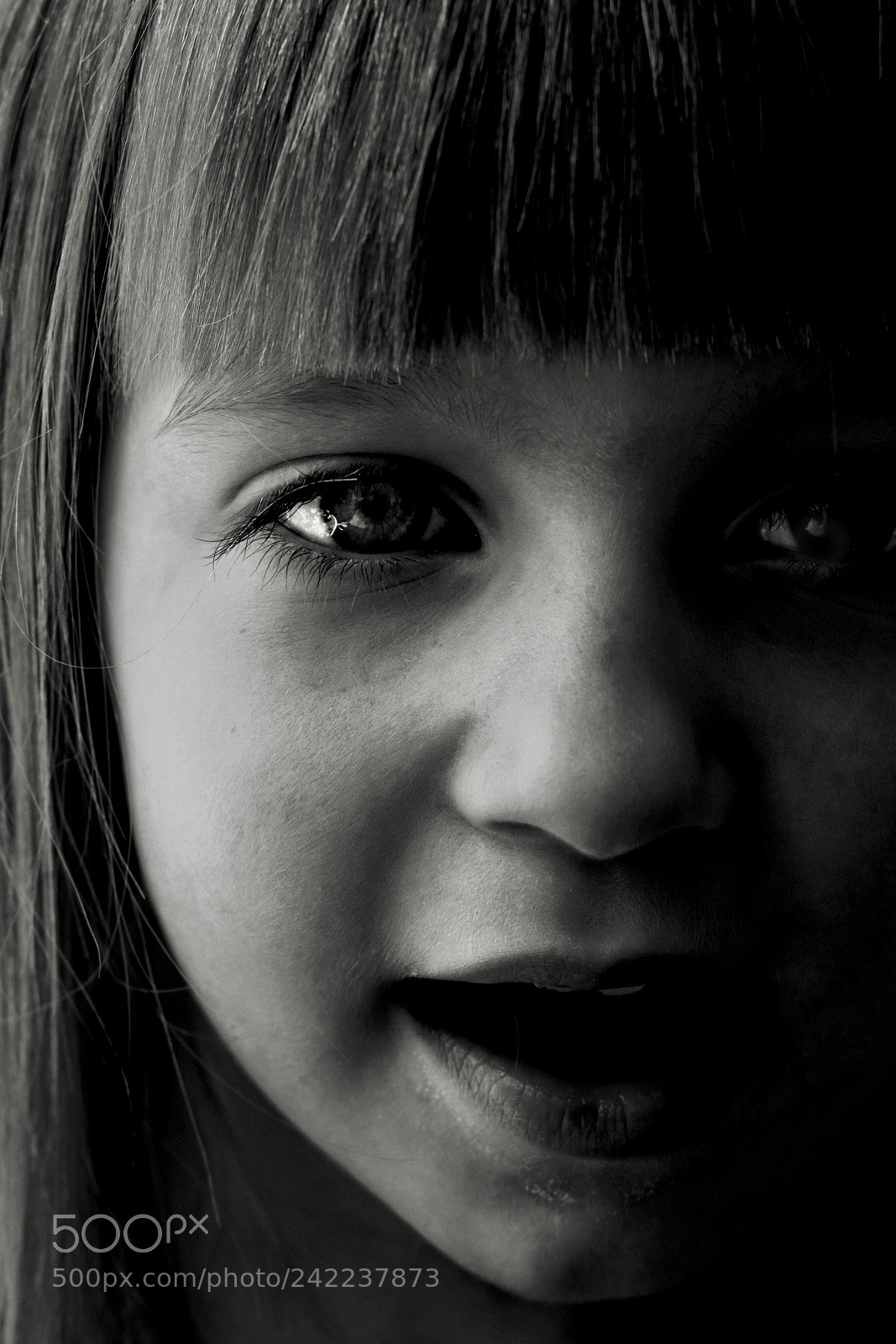 Nikon D5600 sample photo. Up close photography