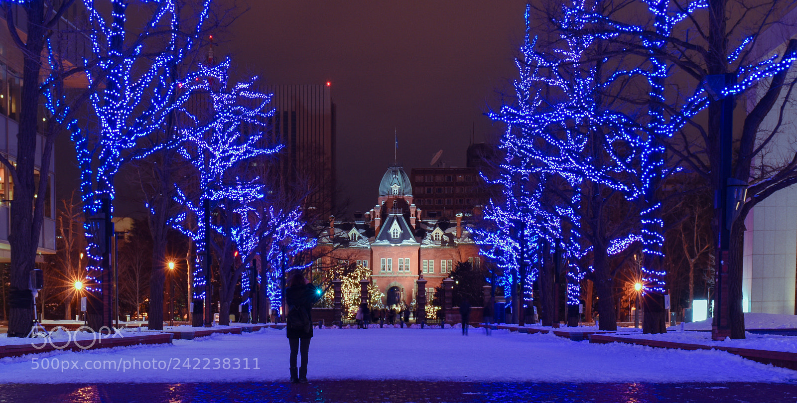 Nikon D810 sample photo. Snowy night photography