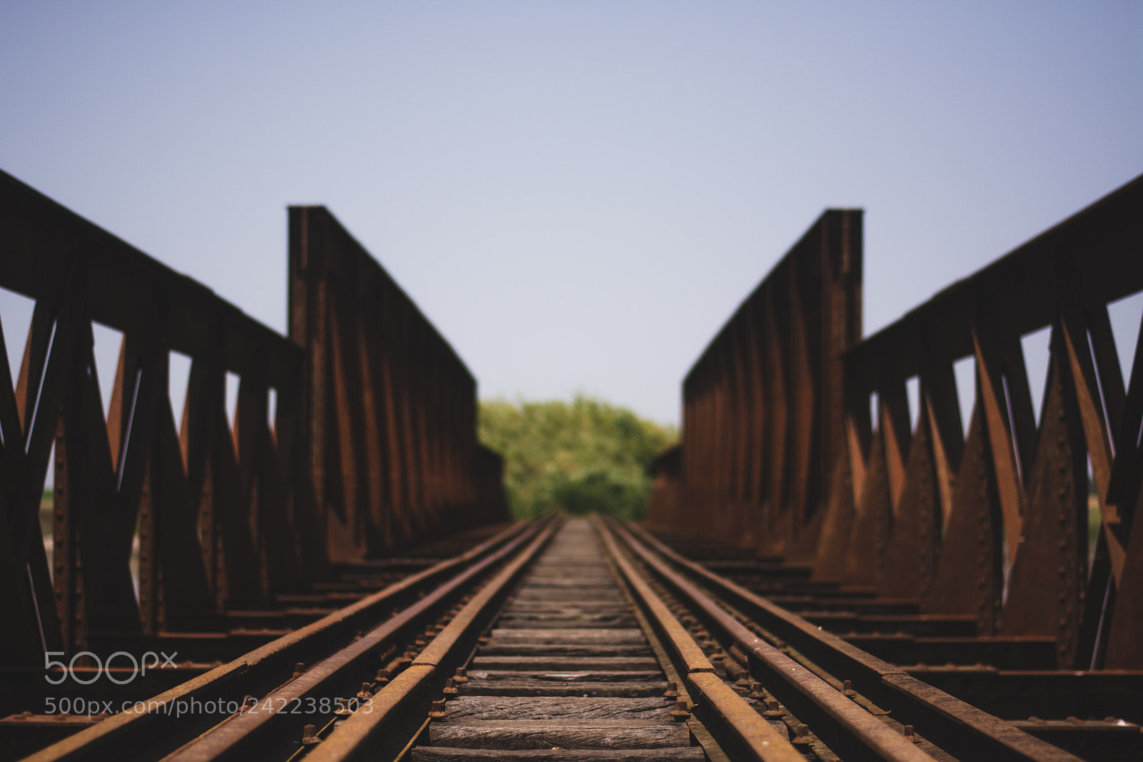 Nikon D7100 sample photo. Via photography