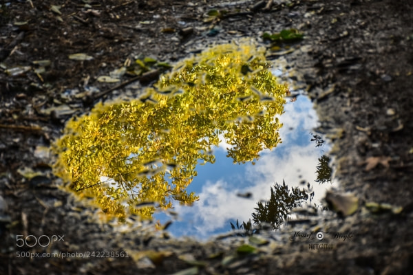 Nikon D7200 sample photo. Clay heart photography