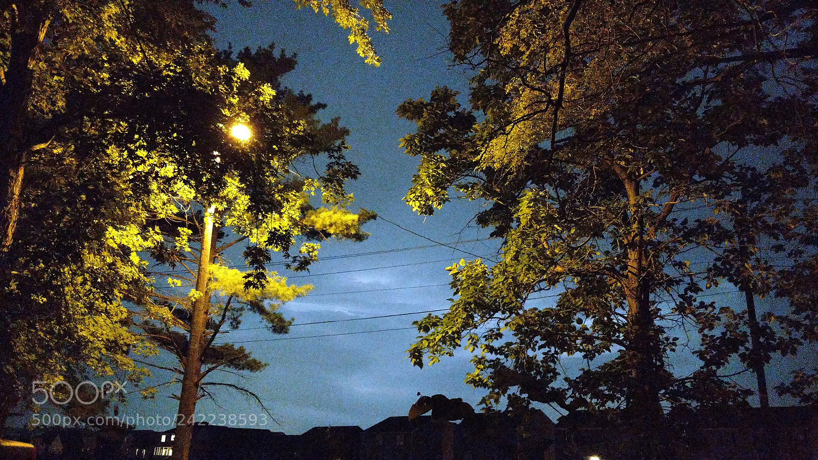 Motorola XT1650 sample photo. Night sky’s photography
