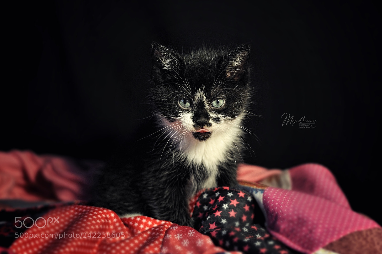 Nikon D700 sample photo. Practicing scary look :-) photography