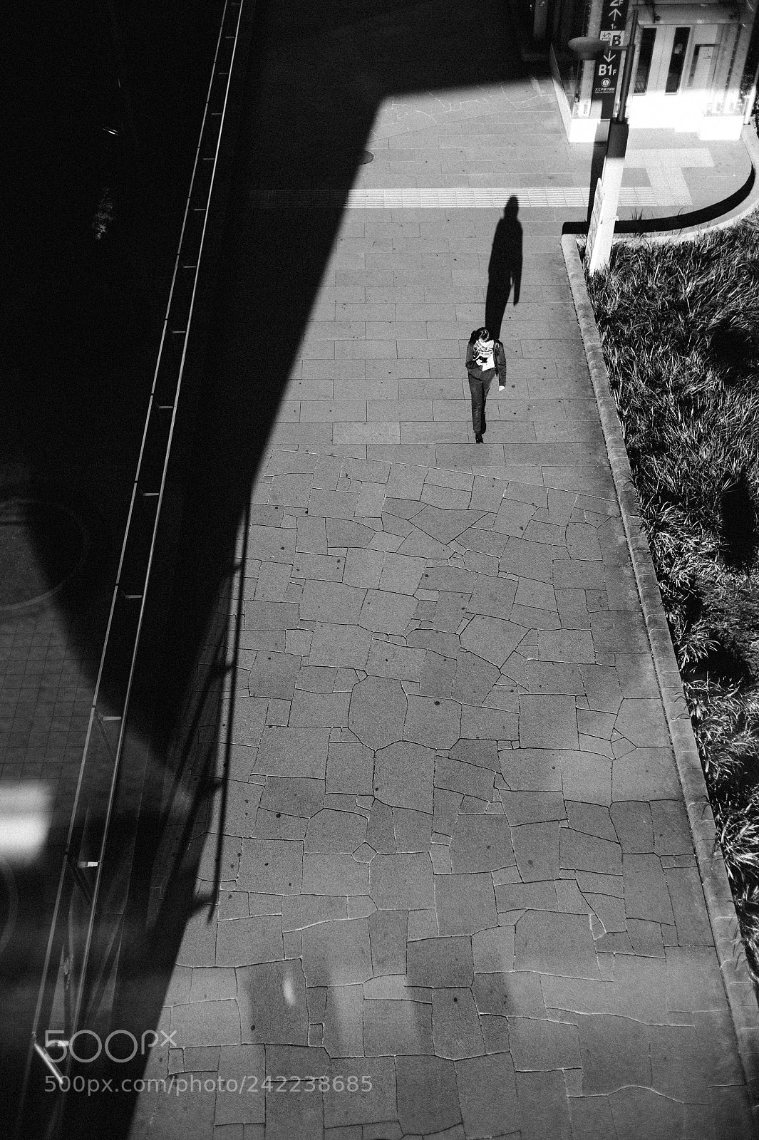 Leica M9 sample photo. Begining photography