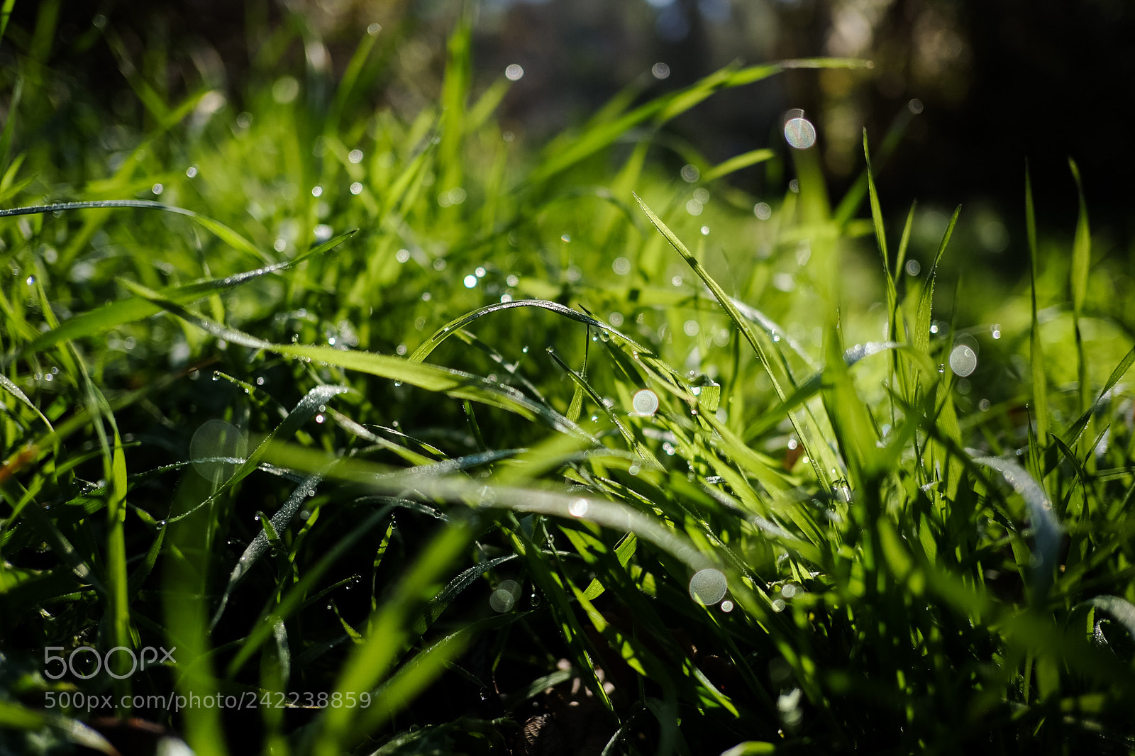 Fujifilm X-T10 sample photo. Untitled photography