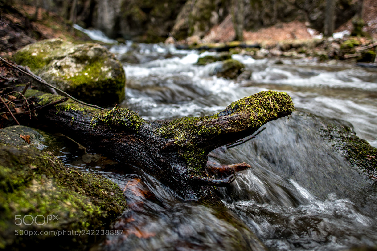 Nikon D850 sample photo. River photography