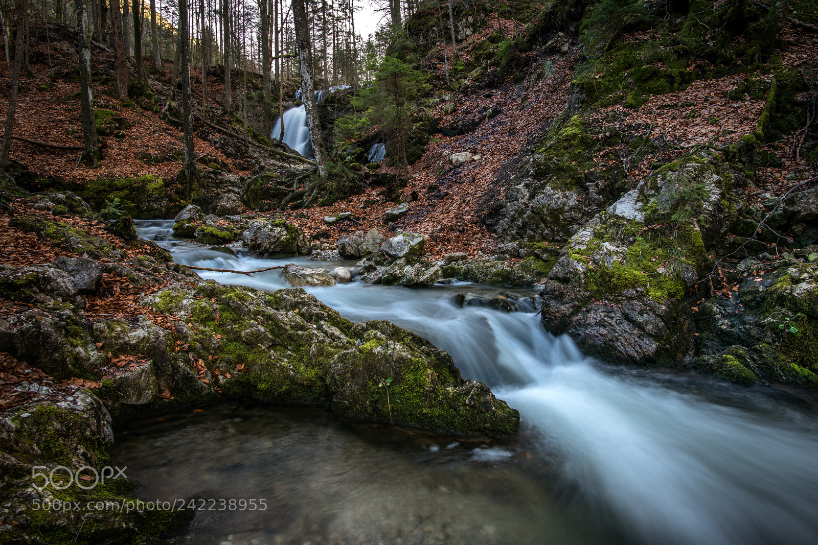 Nikon D850 sample photo. River in the alps photography