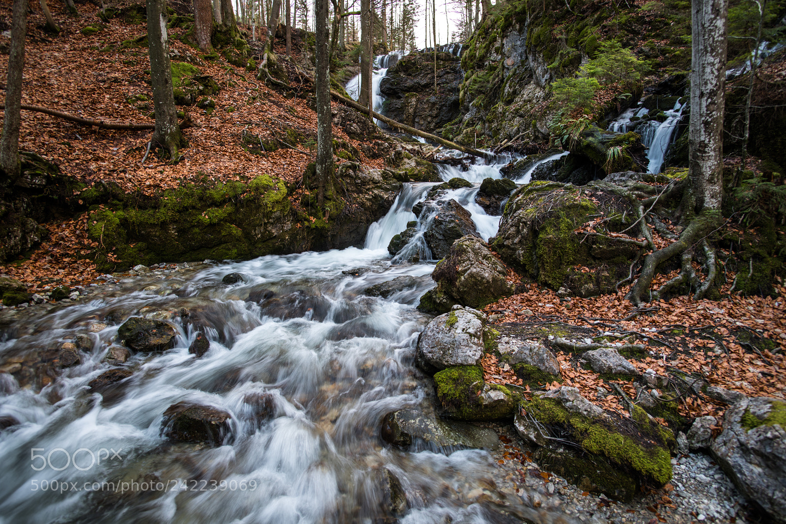 Nikon D850 sample photo. Lovely mountain photography