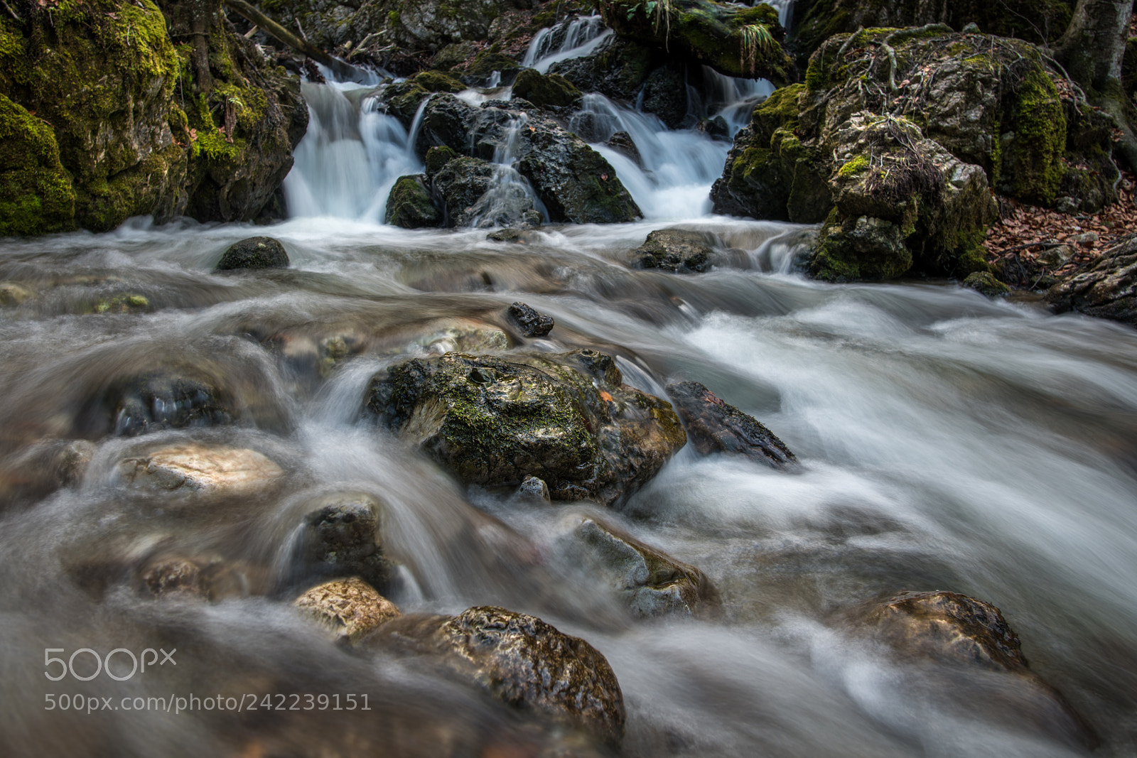 Nikon D850 sample photo. Mountain river photography