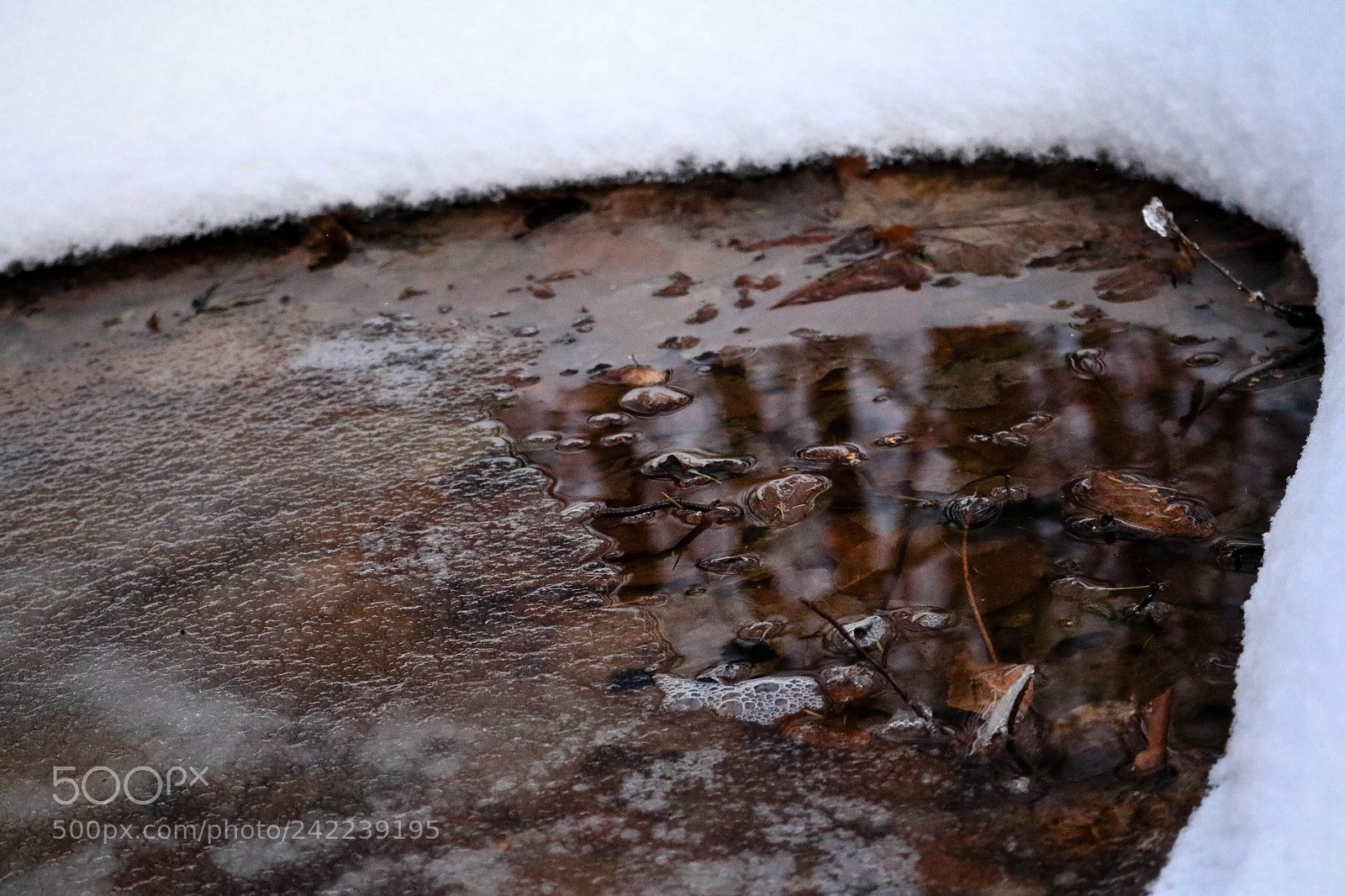 Canon EOS 750D (EOS Rebel T6i / EOS Kiss X8i) sample photo. Untitled photography