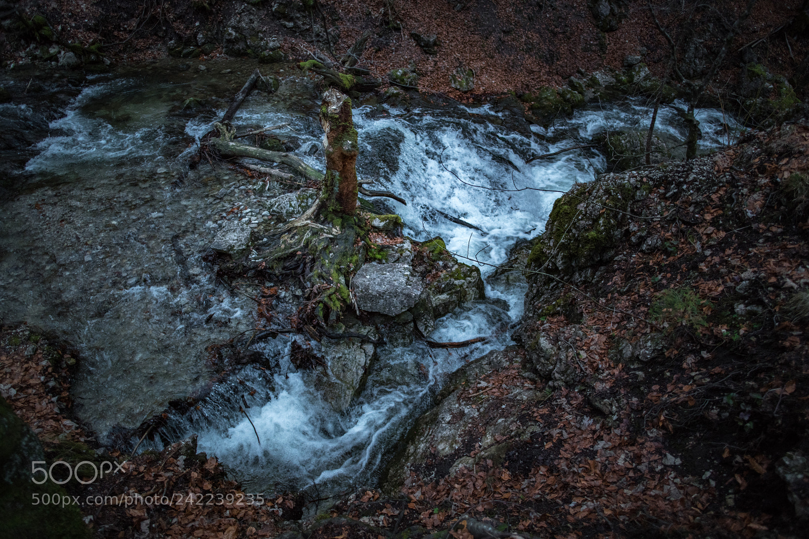 Nikon D850 sample photo. River in the dark photography