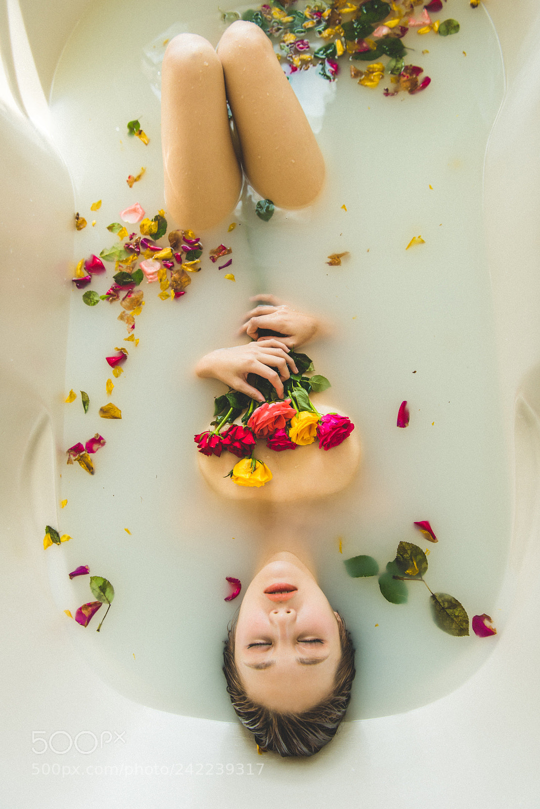 Nikon D810 sample photo. Rose & white photography