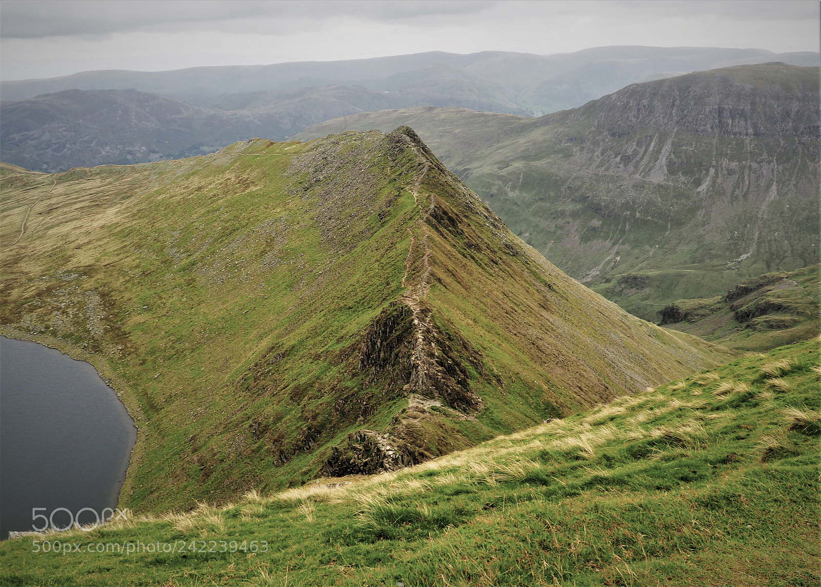 Olympus OM-D E-M10 II sample photo. Striding edge photography