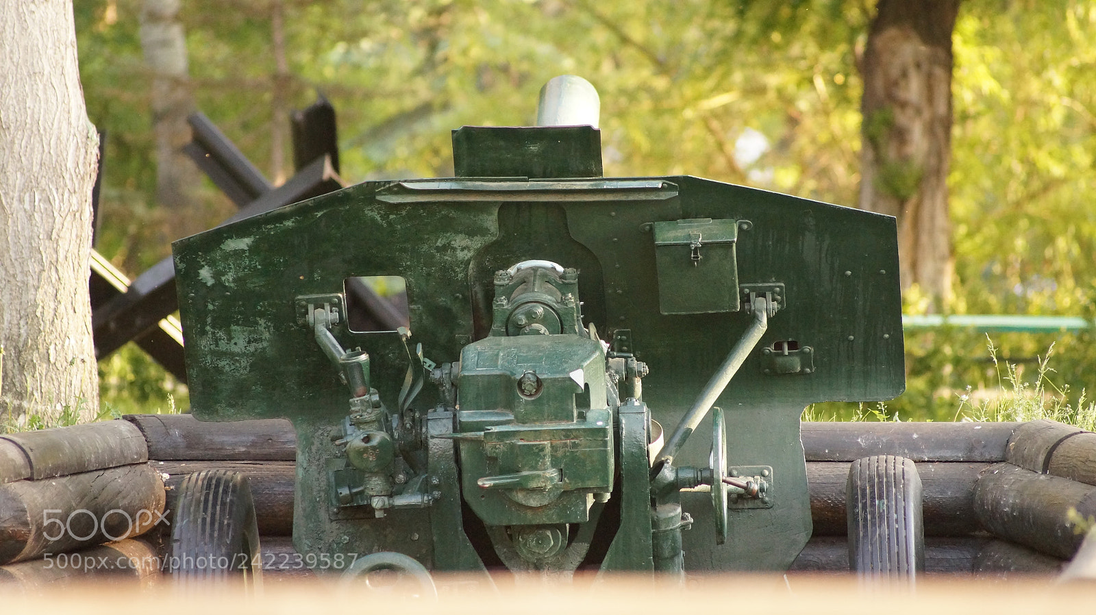Sony SLT-A58 sample photo. Untitled photography