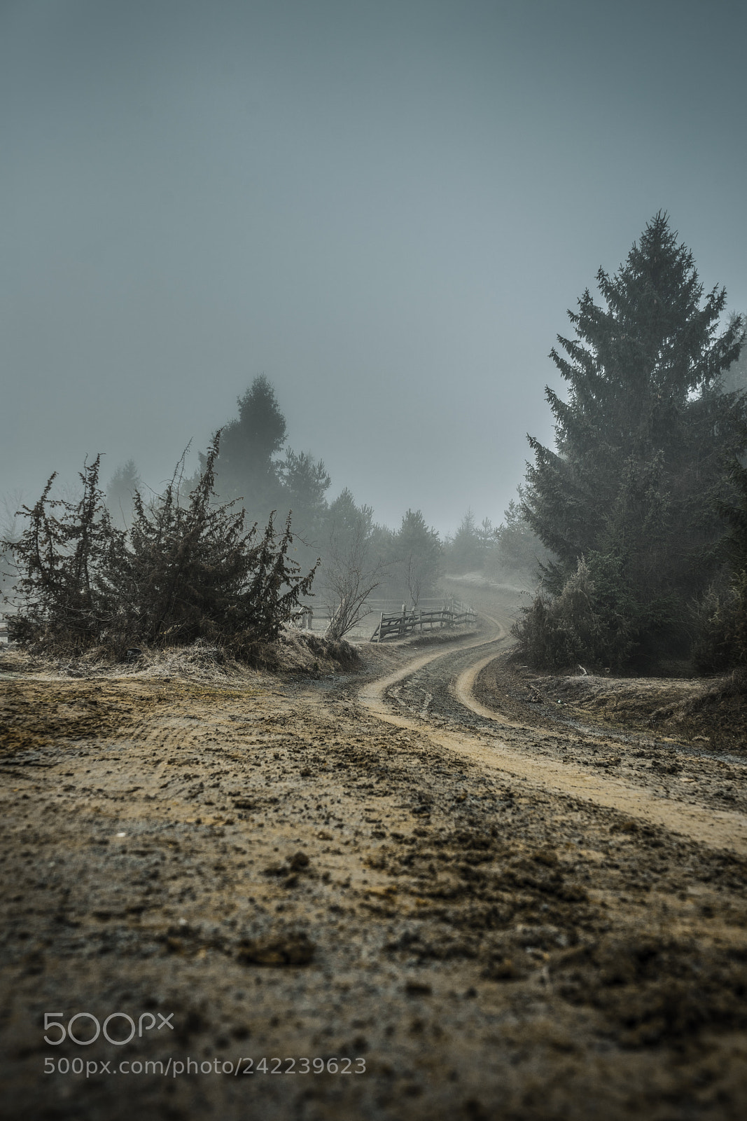 Sony a7 sample photo. Open season photography