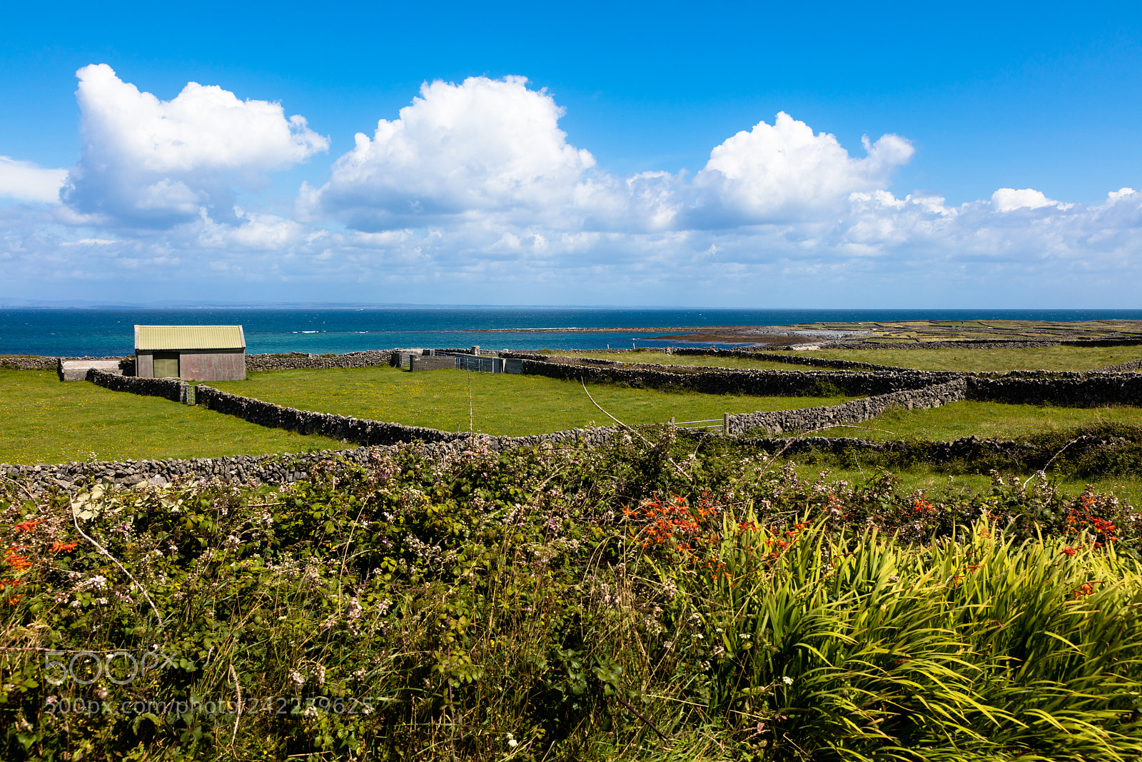 Canon EOS 5DS R sample photo. Landscape of inishmore photography