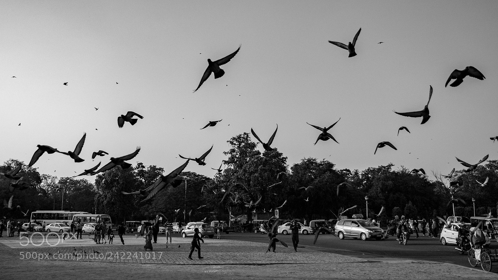 Panasonic Lumix DMC-GH4 sample photo. P photography
