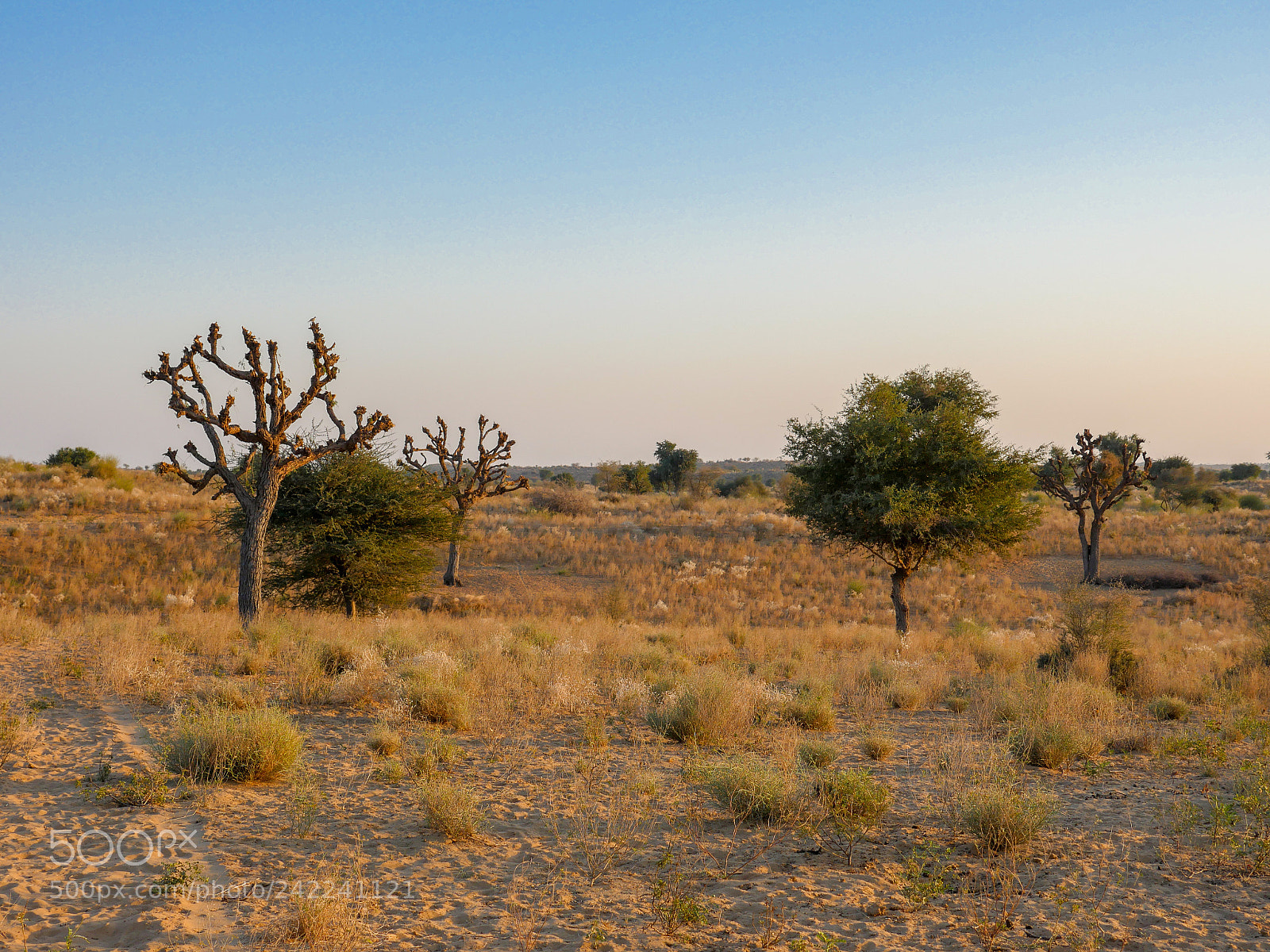 Panasonic Lumix DMC-GH4 sample photo. Untitled photography