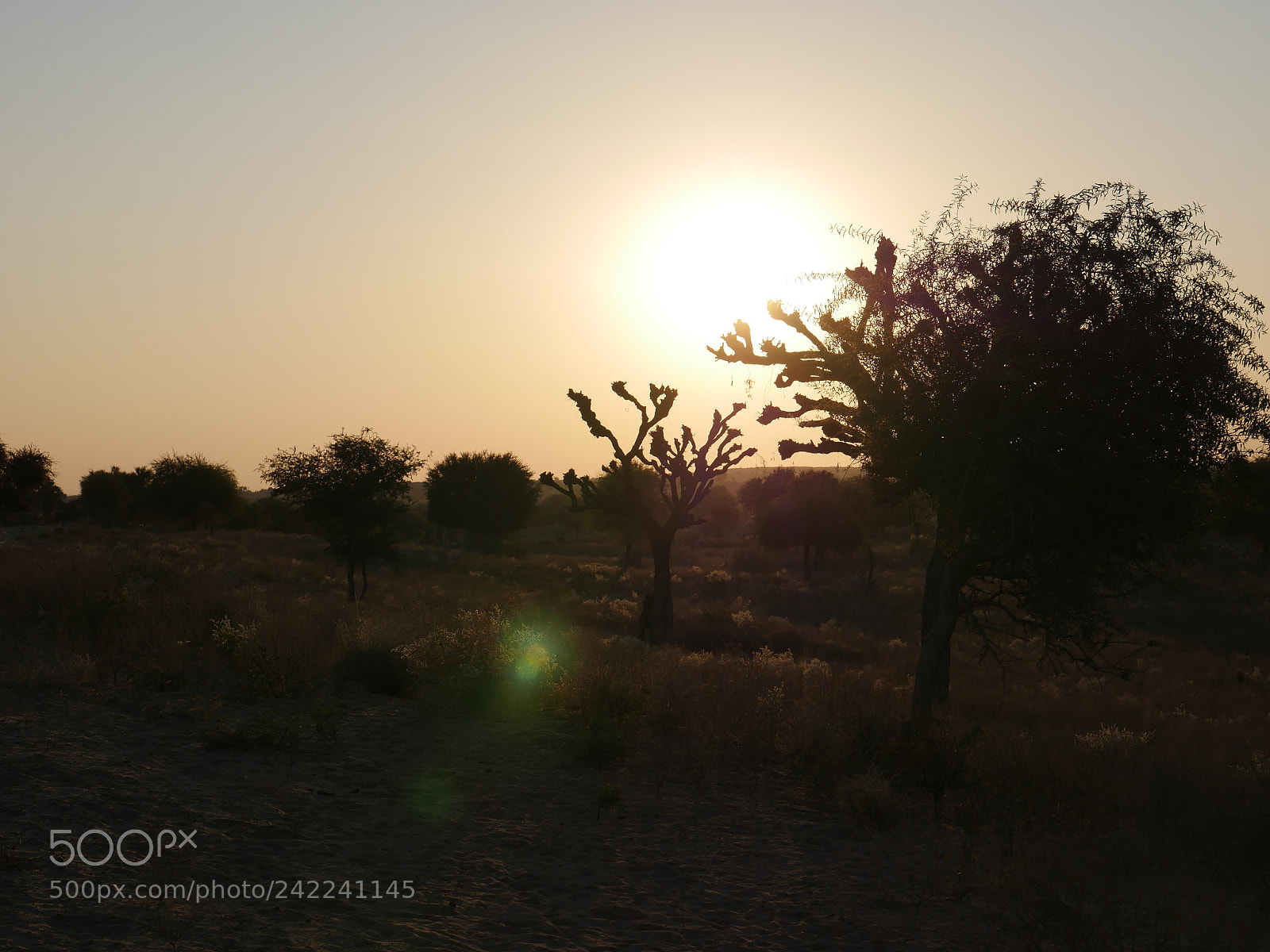 Panasonic Lumix DMC-GH4 sample photo. Untitled photography
