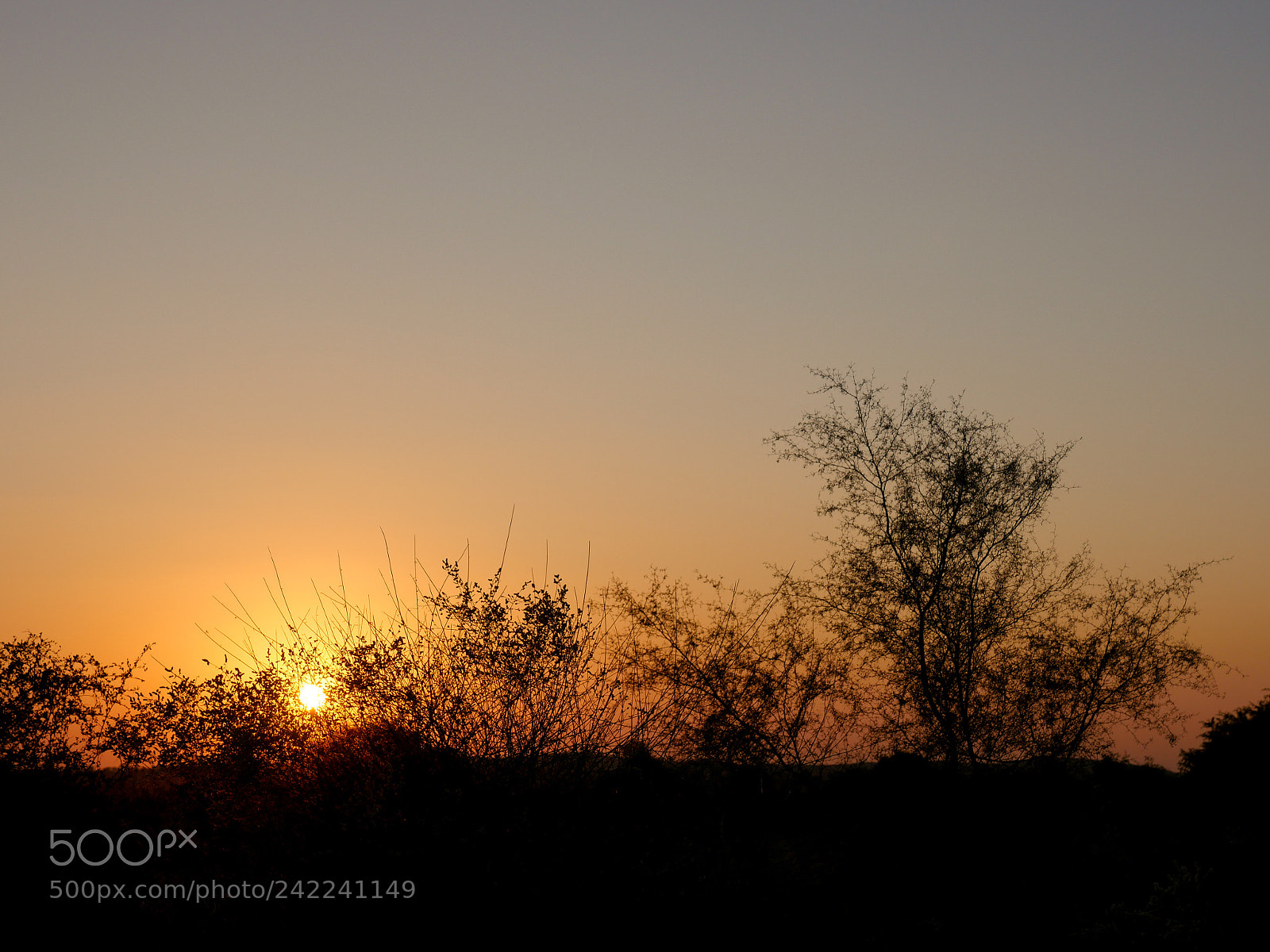 Panasonic Lumix DMC-GH4 sample photo. Untitled photography