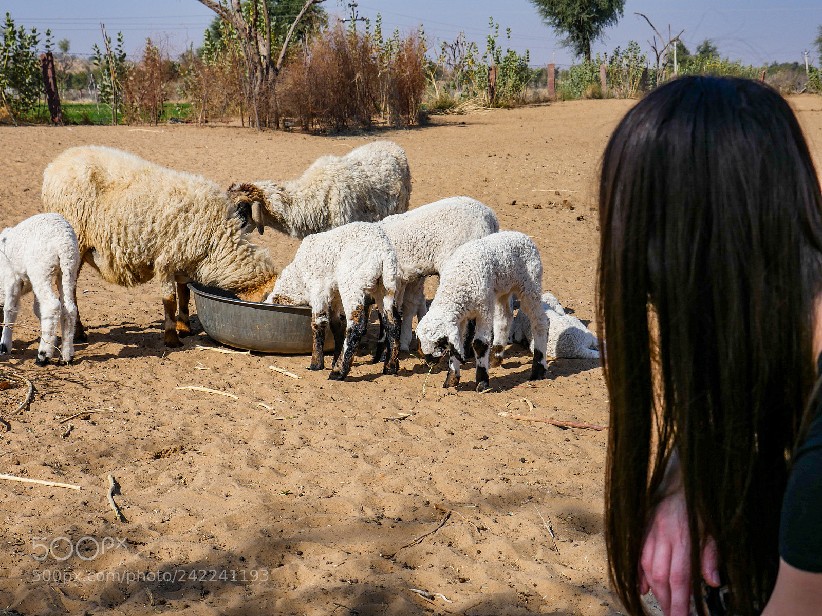 Panasonic Lumix DMC-GH4 sample photo. Untitled photography