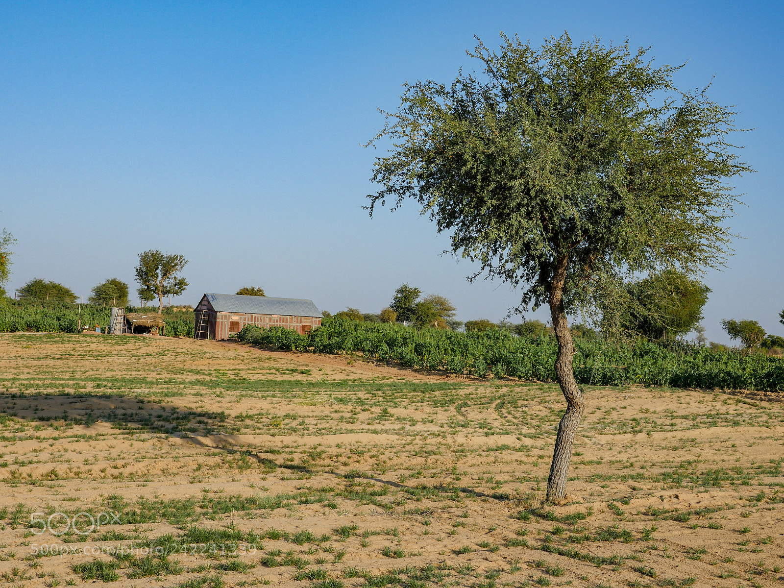 Panasonic Lumix DMC-GH4 sample photo. Untitled photography