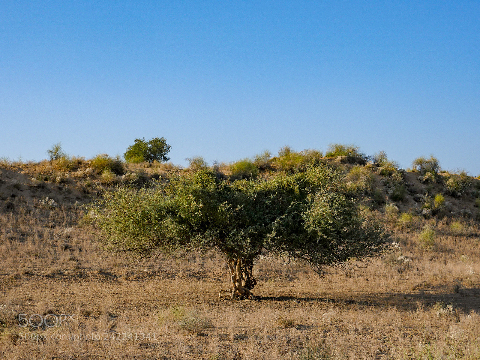 Panasonic Lumix DMC-GH4 sample photo. Untitled photography