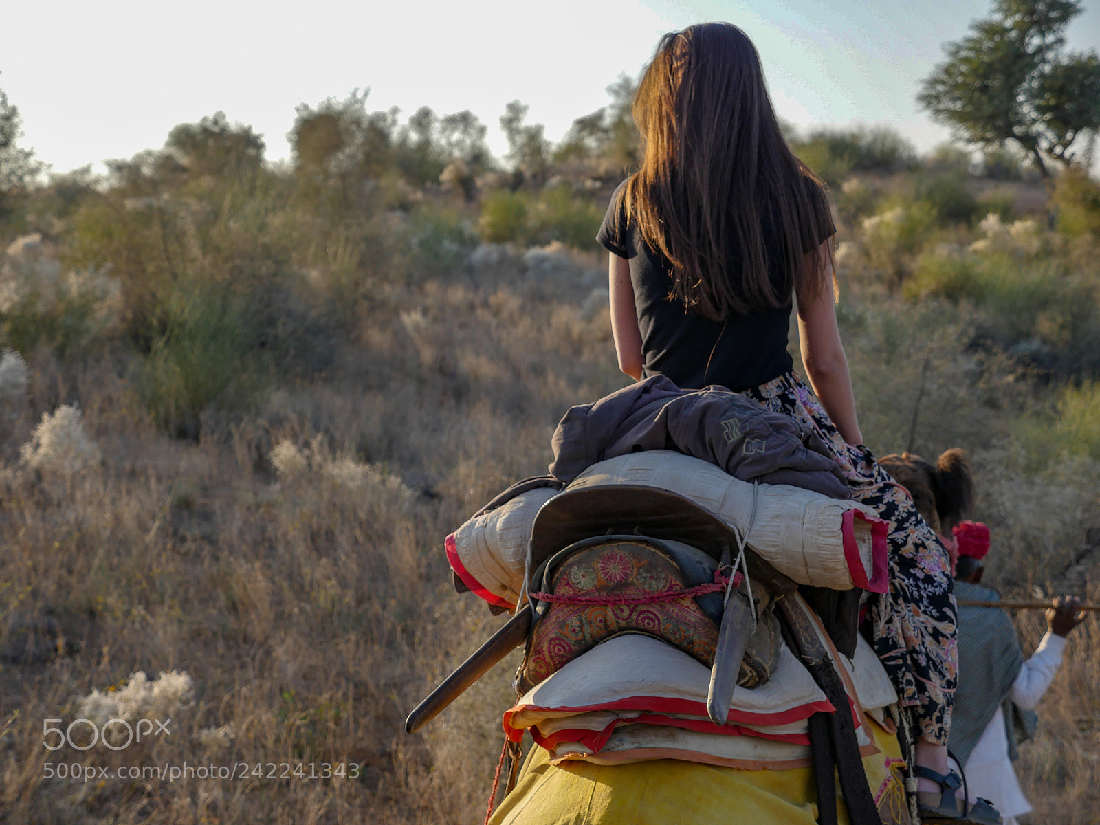 Panasonic Lumix DMC-GH4 sample photo. Untitled photography