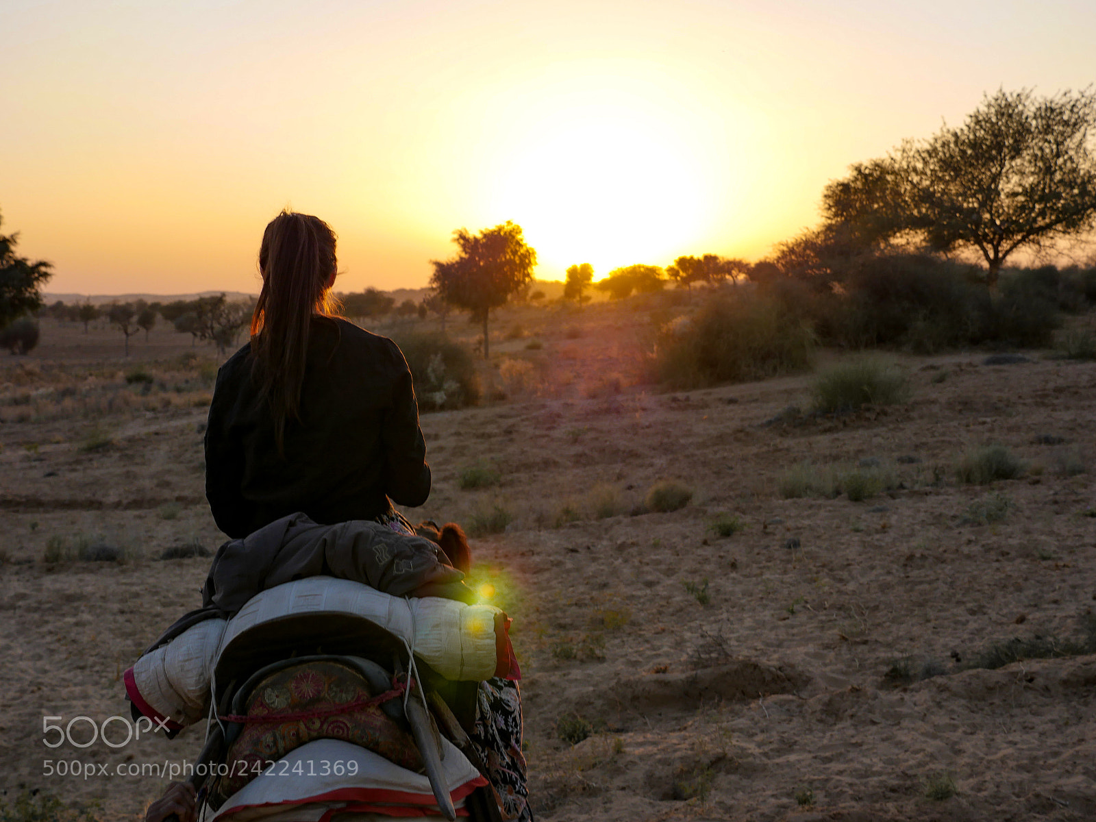 Panasonic Lumix DMC-GH4 sample photo. Untitled photography