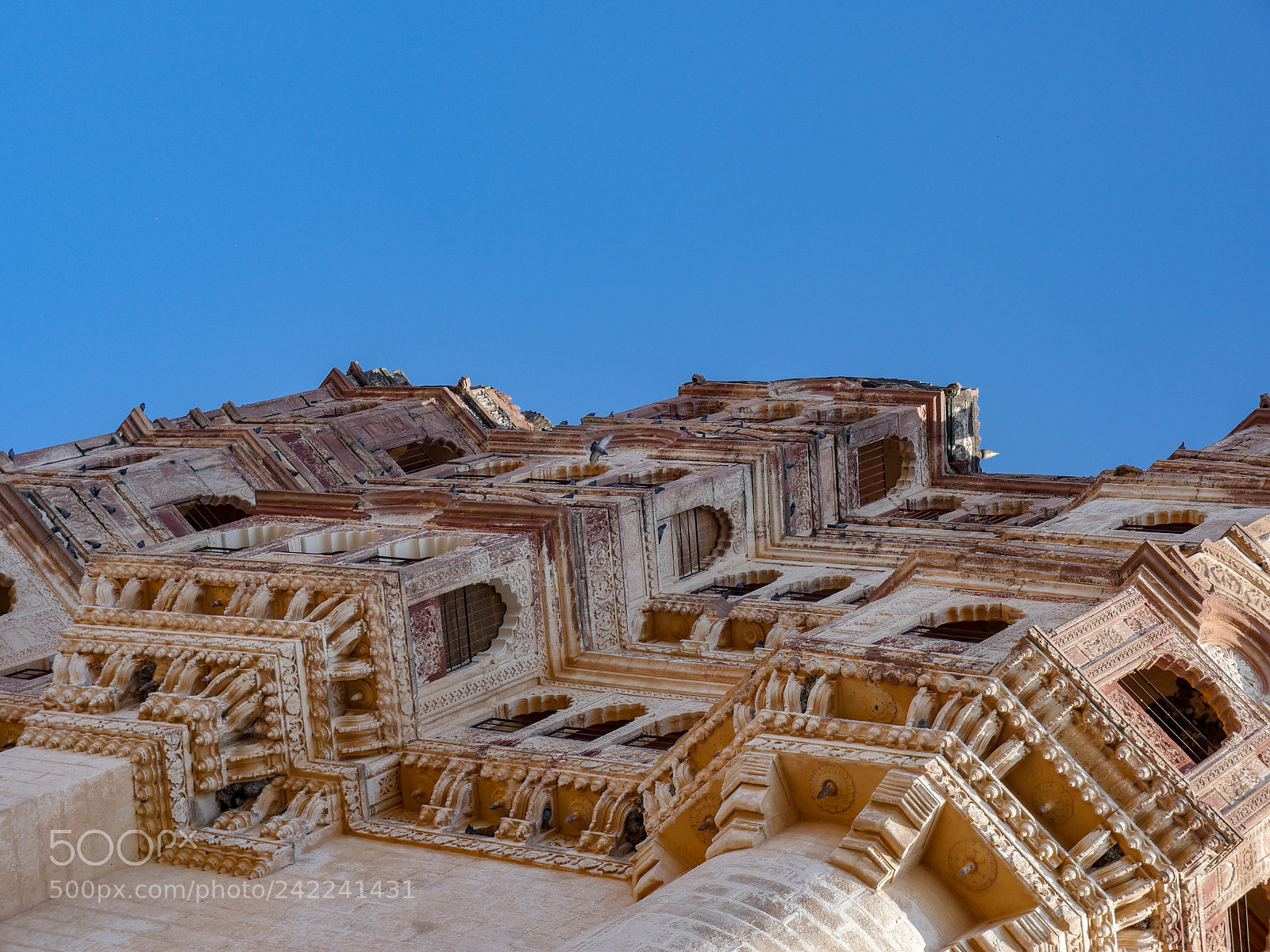 Panasonic Lumix DMC-GH4 sample photo. Untitled photography