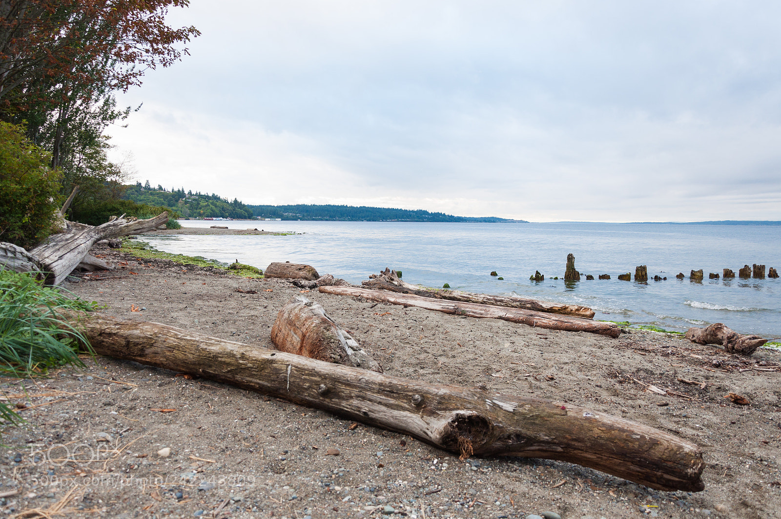 Nikon D90 sample photo. Wooden beach photography