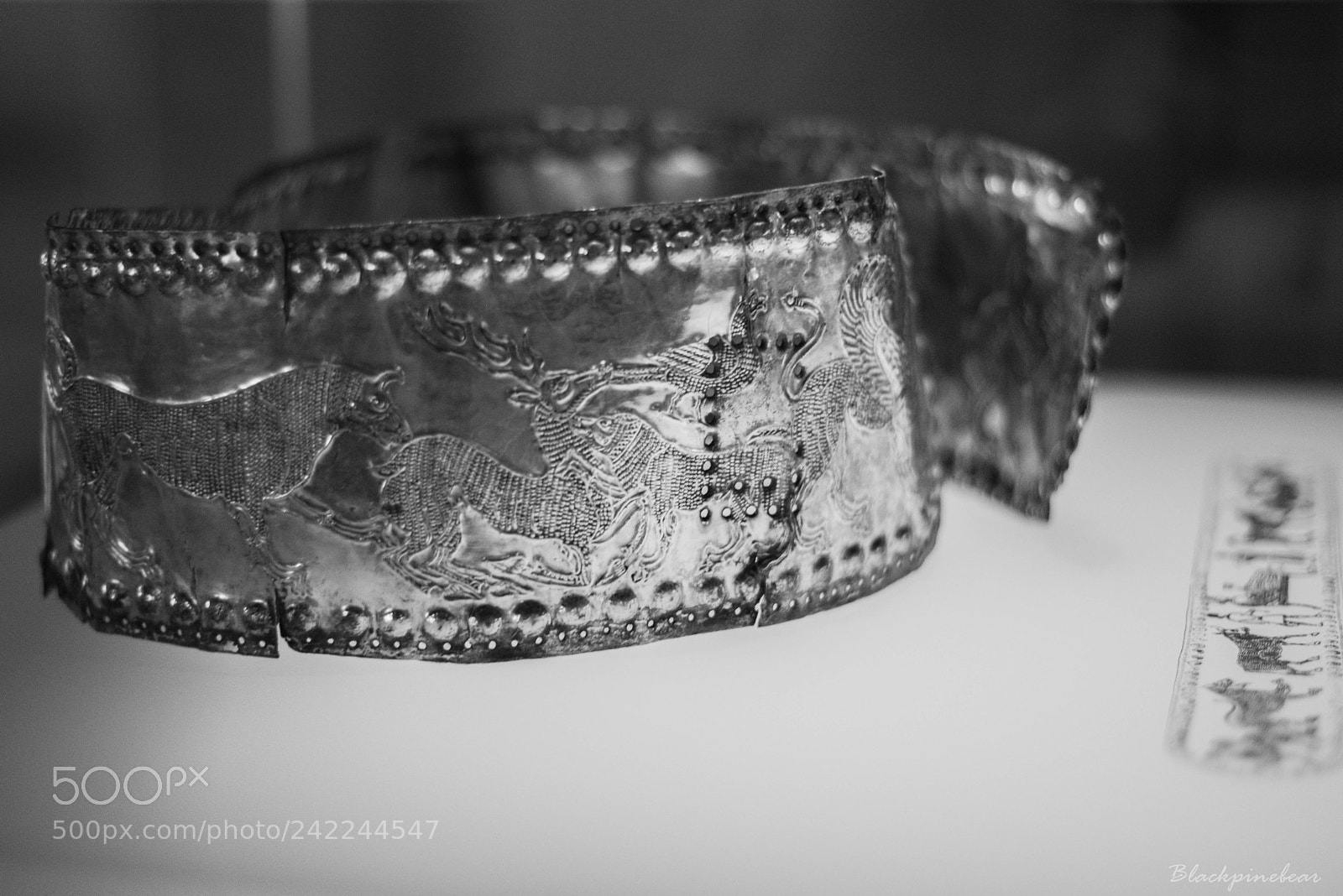 Nikon D800 sample photo. Silver photography
