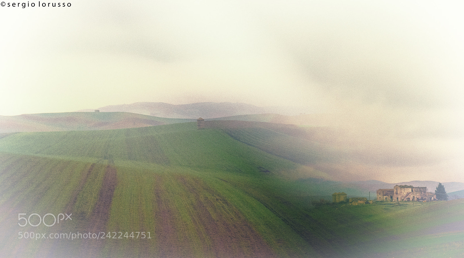 Nikon D7200 sample photo. Fog photography