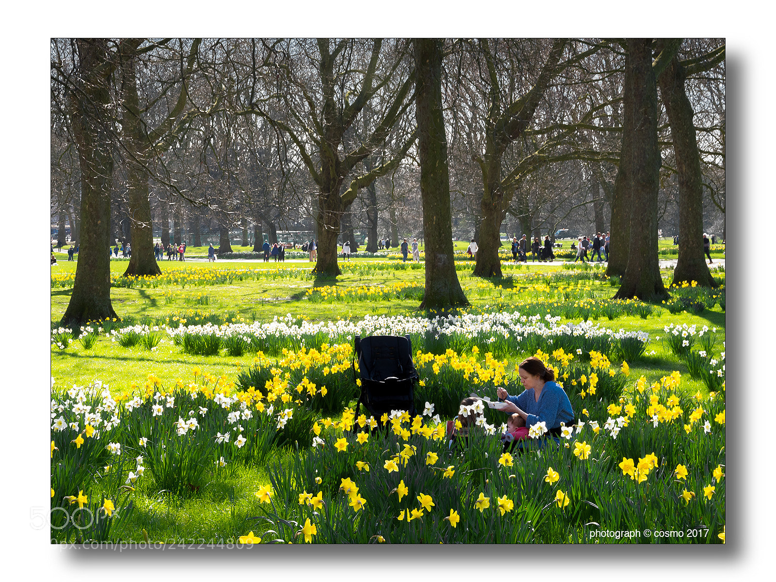 Panasonic Lumix DMC-GX8 sample photo. Remembering spring. photography