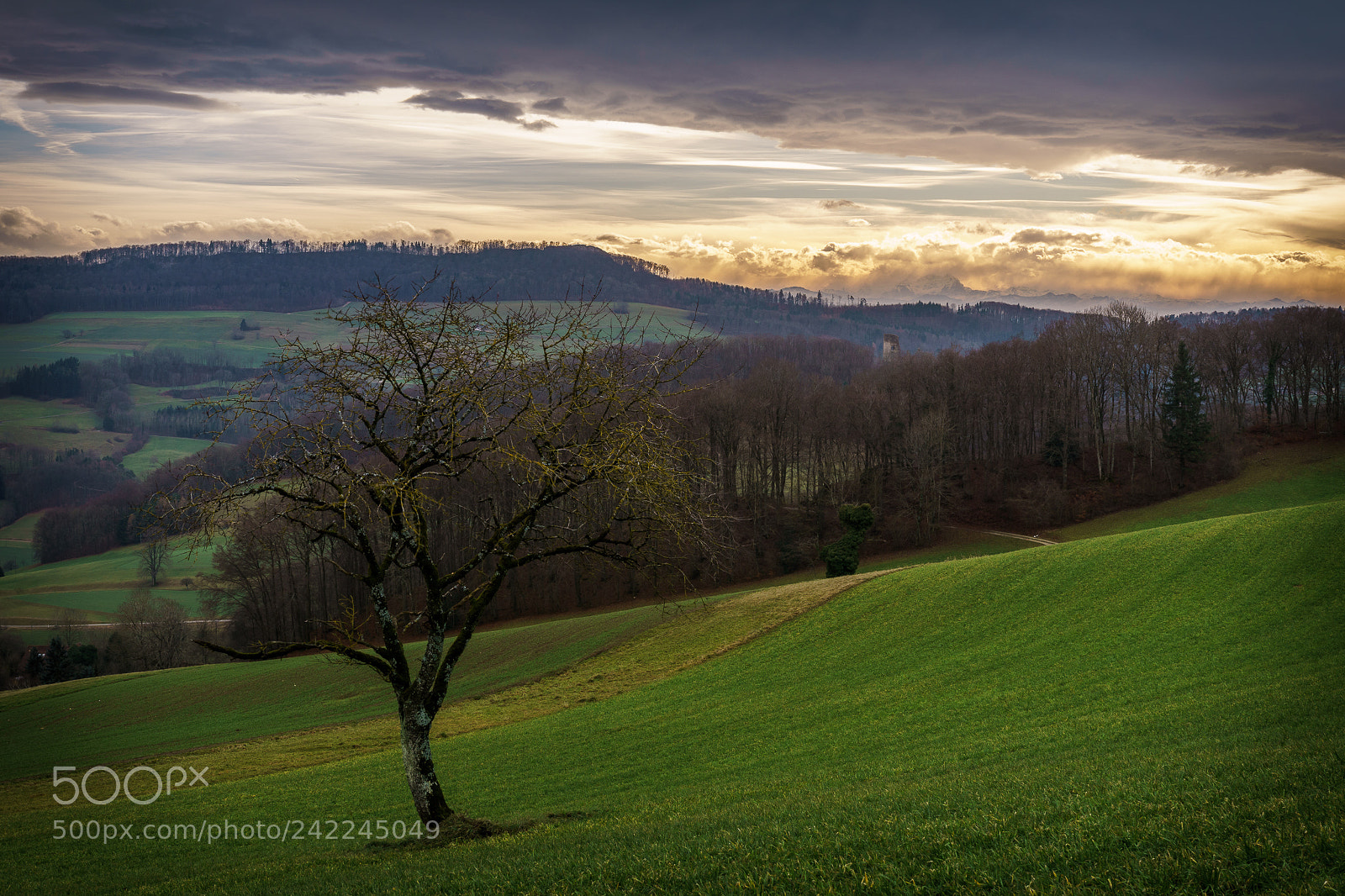 Sony ILCA-77M2 sample photo. Schenkenberg ii photography