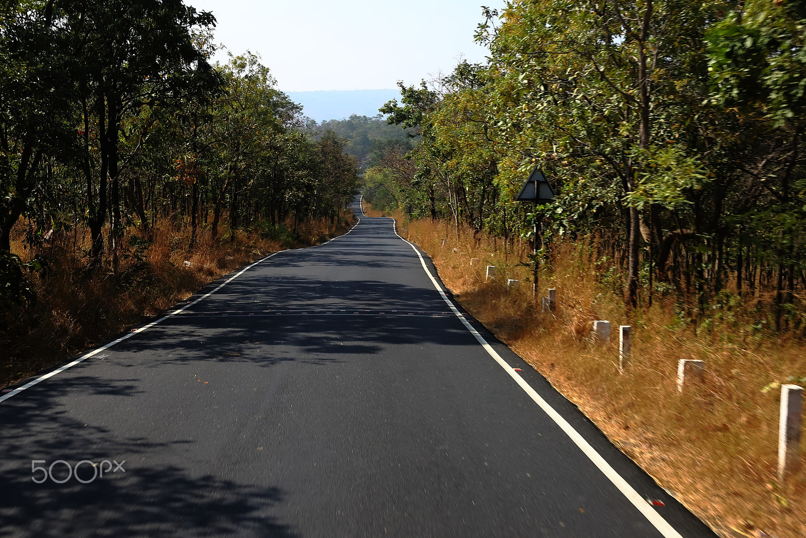 Canon EF 50mm F1.8 II sample photo. The road to success never ends. photography